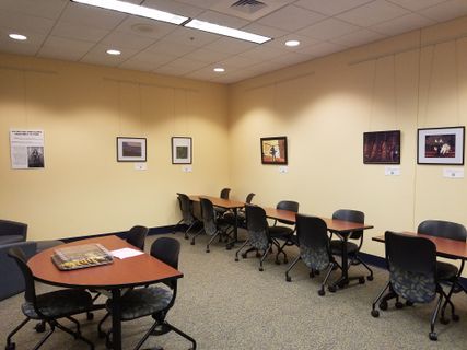 room 1020 in downtown library with avatar exhibit 