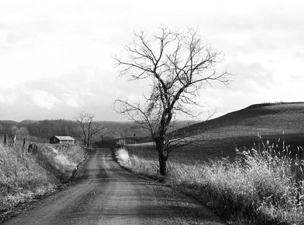 black and white photo of dirt road