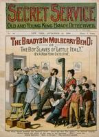 book cover for "The brady's of Mulberry Bend"