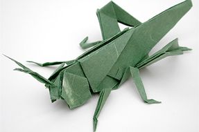 Oragami Grasshopper