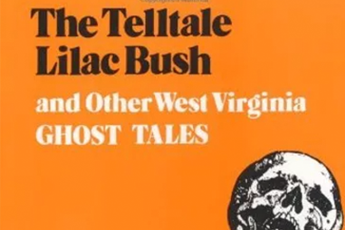 The TElltale lilac bush book cover