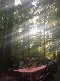 people eating at table in the woods