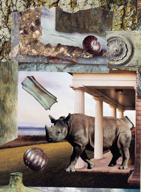 Collage of Rhino and Pylons