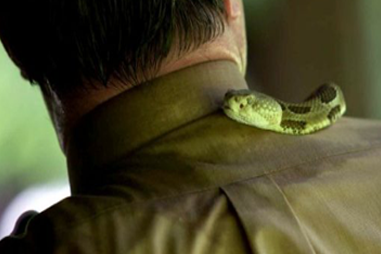 snake on mans shoulder