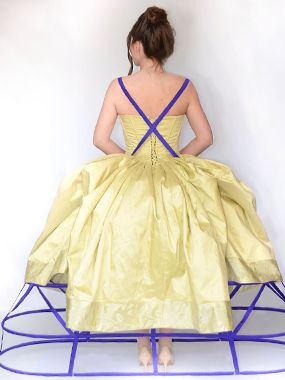 Transparent Pannier Dress Back